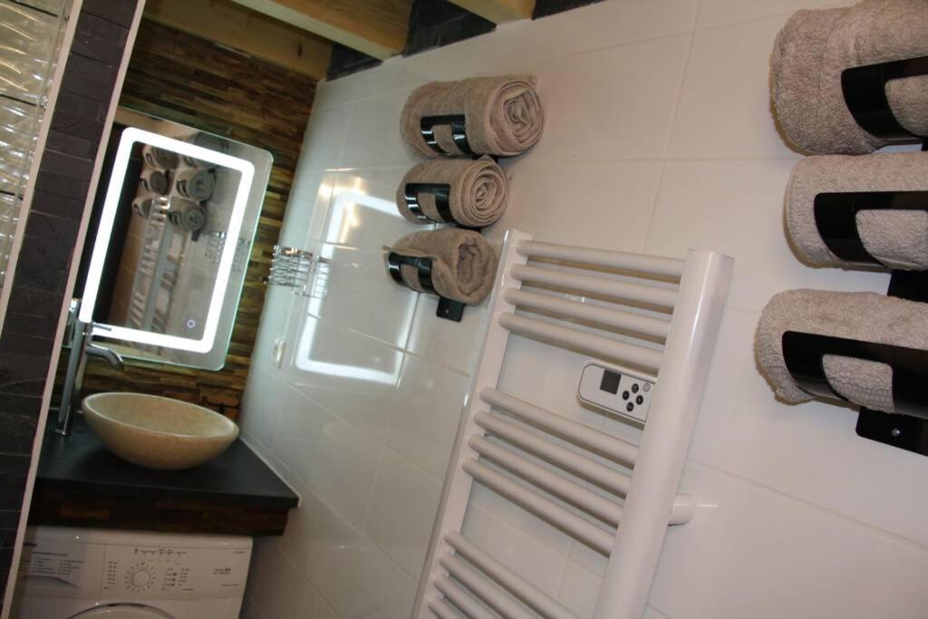 Le Portougais, Chalet A Chanaz, La Petite Venise Savoyarde 外观 照片