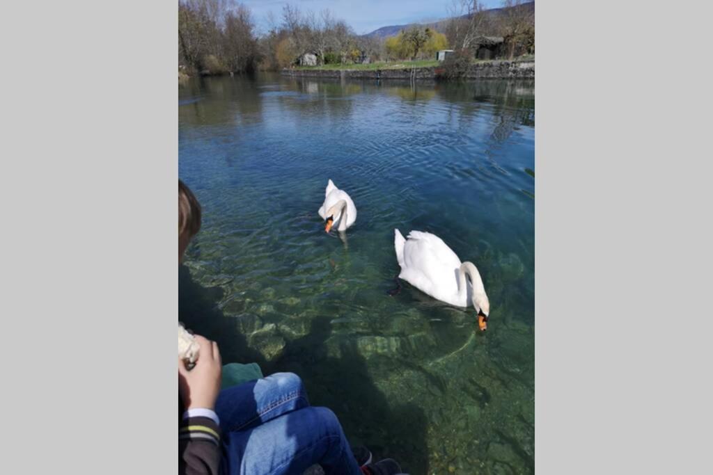 Le Portougais, Chalet A Chanaz, La Petite Venise Savoyarde 外观 照片