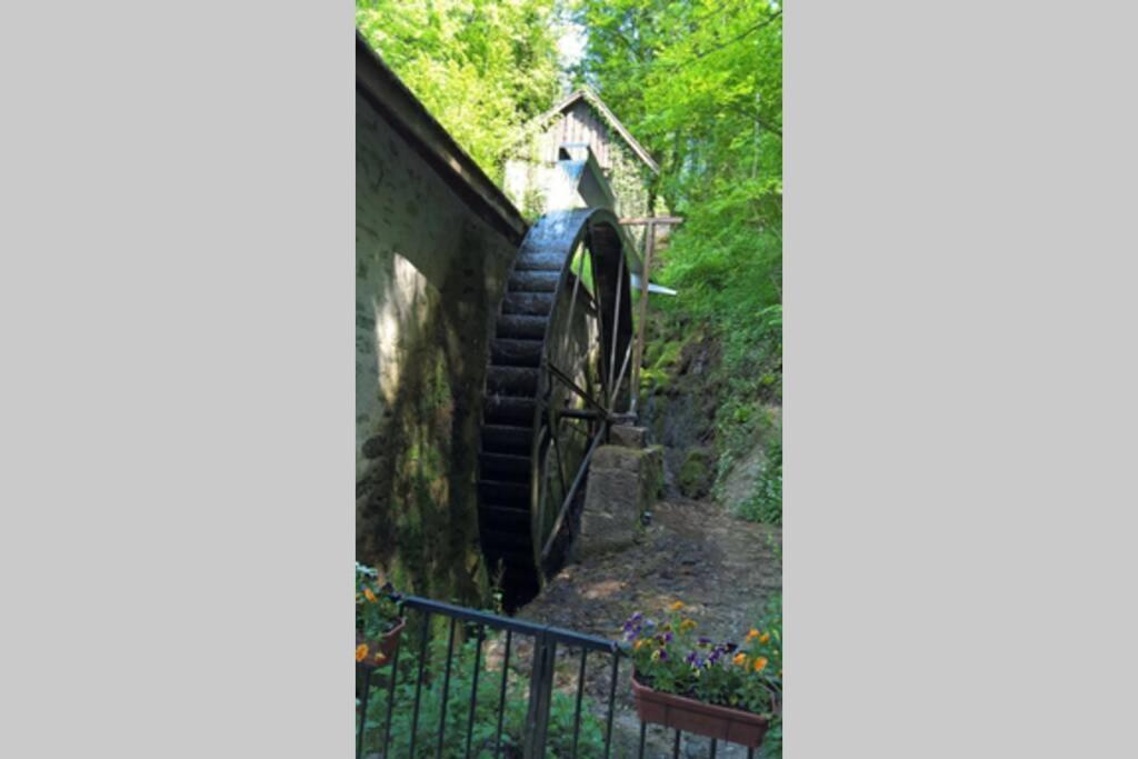 Le Portougais, Chalet A Chanaz, La Petite Venise Savoyarde 外观 照片